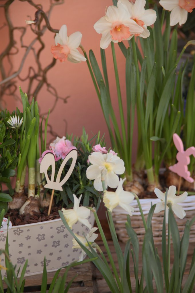 Pâques approche à grands pas ! photo 7